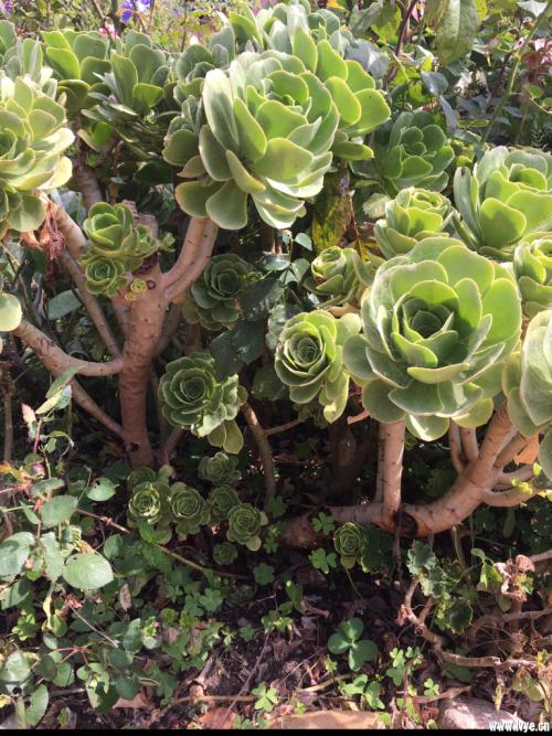 3124ʱ͡ͼ۸ÿϵ90Ԫ85Ԫ